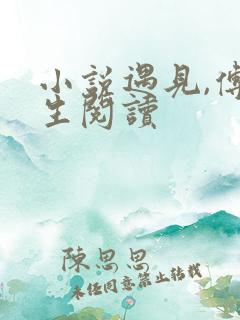 小说遇见,傅先生阅读