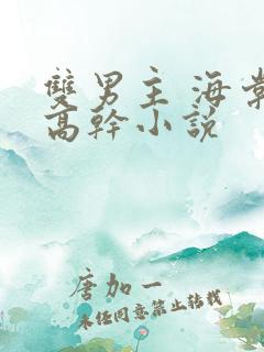 双男主 海棠 高干小说