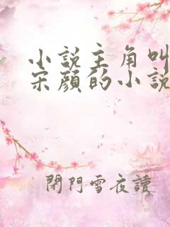 小说主角叫楚尘宋颜的小说