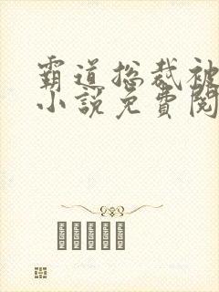 霸道总裁被玩记小说免费阅读