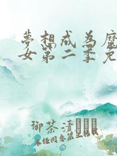 梦想成为魔法少女第二季免费看