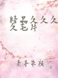 精品久久久久久久毛片