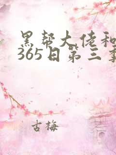 黑帮大佬和我的365日第三季全集