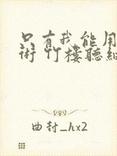 只有我能用召唤术 竹楼听细雨