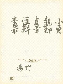 李慎贞观小闲王最新章节更新时间