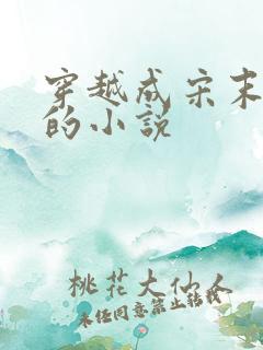 穿越成宋末赵g的小说