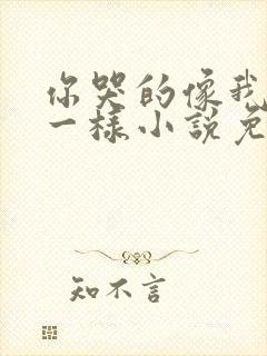 你哭的像我死了一样小说免费阅读