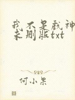 我不是戏神小说未删版txt