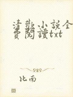 清欢小说全文免费阅读txt