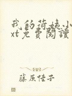 我的荷姨小说txt免费阅读