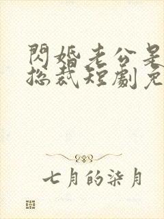 闪婚老公是千亿总裁短剧免费观看