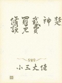 修罗武神楚枫小说免费