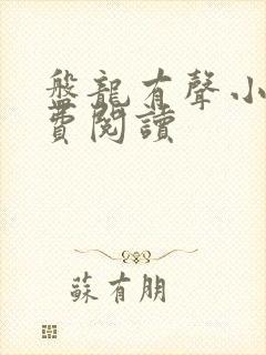 盘龙有声小说免费阅读