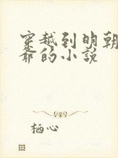 穿越到明朝当王爷的小说