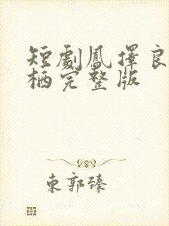 短剧凤择良木而栖完整版