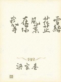 我在风花雪月里等你叶芷结局