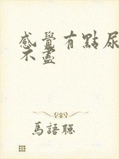 感觉有点尿频尿不尽