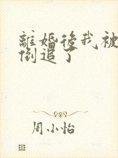 离婚后我被前夫倒追了