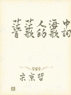 茫茫人海中是哪首歌的歌词