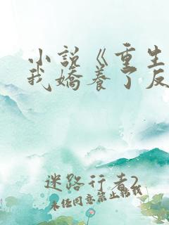 小说《重生后,我娇养了反派摄政王》