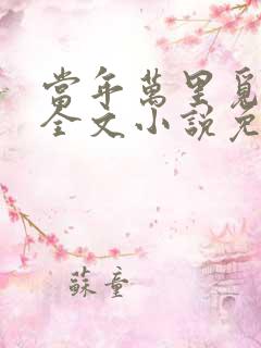 当年万里觅封侯全文小说免费阅读