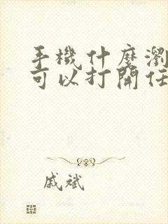 手机什么浏览器可以打开任何网站