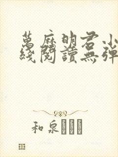 万历明君小说在线阅读无弹窗