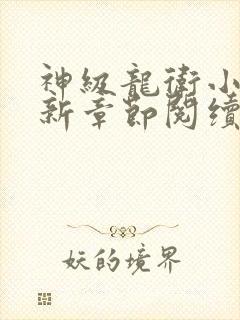 神级龙卫小说最新章节阅续