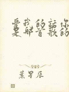 爱我的话你不说是哪首歌的歌词