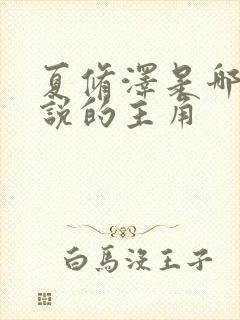 夏修泽是哪本小说的主角