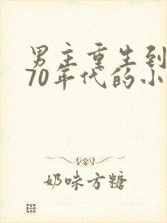 男主重生到京城70年代的小说