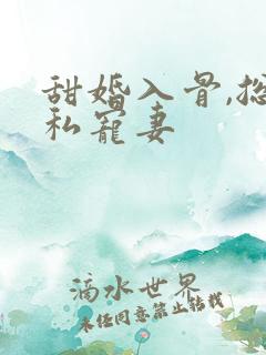 甜婚入骨,总裁私宠妻