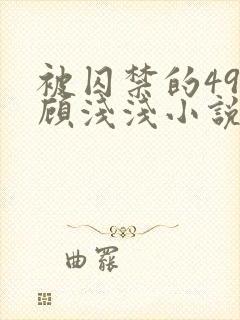 被囚禁的49天顾浅浅小说全文阅读无弹窗