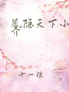 凤隐天下小说简介