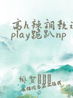 高h辣调教道具play跪趴np