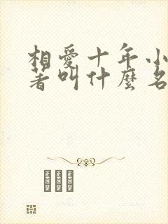 相爱十年小说原著叫什么名字