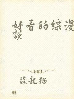 好看的综漫类小说