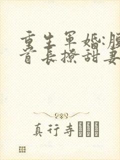 重生军婚:腹黑首长撩甜妻