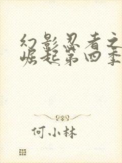 幻影忍者之神龙崛起第四季