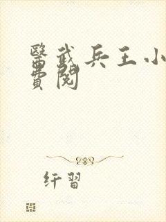 医武兵王小说免费阅