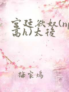 宫廷欲奴(np高h)太后