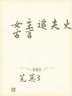 女主追夫火葬场古言