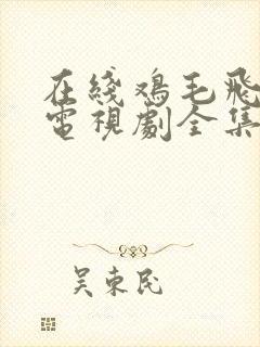 在线鸡毛飞上天电视剧全集免费观看