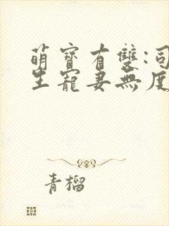 萌宝有双:司先生宠妻无度