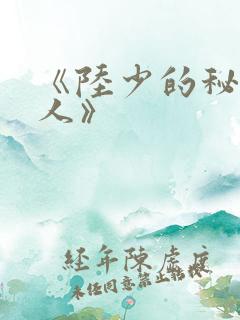 《陆少的秘密恋人》