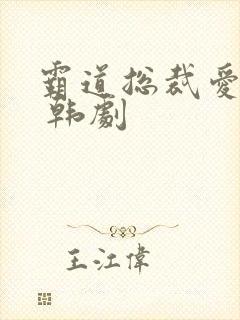 霸道总裁爱上我 韩剧