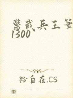 医武兵王笔趣阁1300