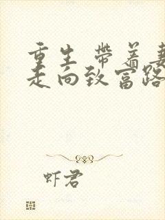 重生 带着妻儿走向致富路