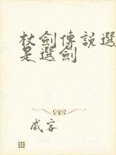 杖剑传说选杖还是选剑