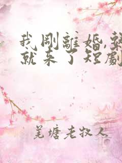 我刚离婚,系统就来了短剧全集